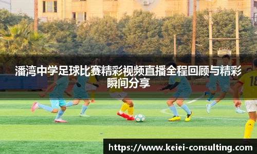 3377体育手机下载