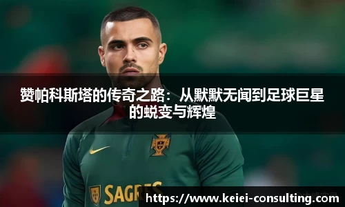 3377体育官方网站